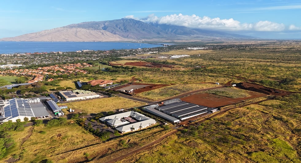 DXD Capital Kihei 3-25